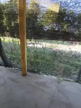 Cam4 Free Live Porn of teo323