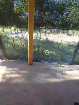 Cam4 Live Porn of teo323