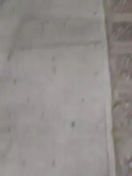 Cam4 Free Live Porn of 4ndrescam