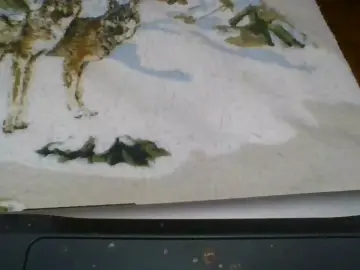 Cam4 Sex Chat of Fireball_one