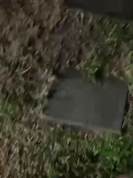 Cam4 Live Porn of Diegomorbo_str