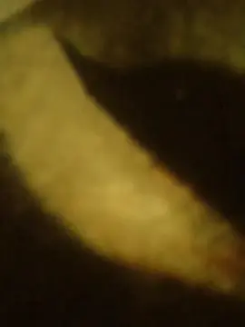 Cam4 Adult Video Chat of Flacaa27