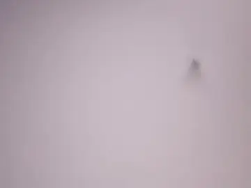 Cam4 Live Porn of Yop66