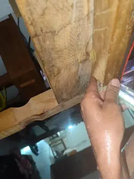 Cam4 Adult Video Chat of PauRosa888