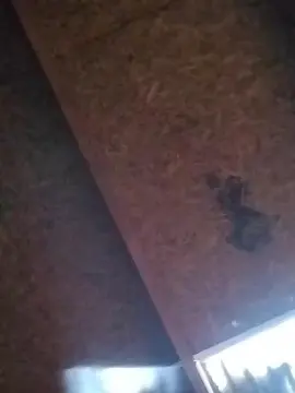 jovendotado420 from cam4