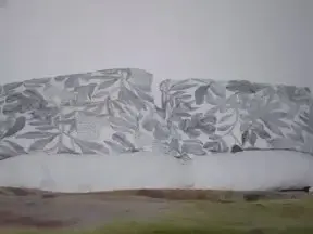 Cam4 Live Sex Cam of daddy_studfuck