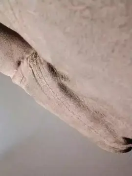 Cam4 Adult Webcams of Ondemand4u