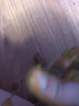 Cam4 Free Porn Cam of geoffrey60