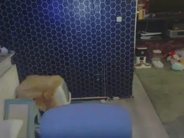 Cam4 Adult Video Chat of Dutchmen2000