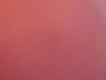 Cam4 Adult Video Chat of Flakita38