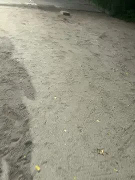 Cam4 Free Live Porn of Zayx