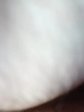 Cam4 Watch Live Sex Cams of Porcelini