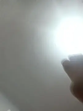 Cam4 Live Sex Cam of kciam