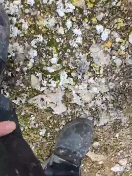 Cam4 Free Porn Cam of polli_play