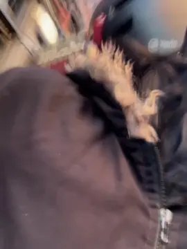 Cam4 Adult Video Chat of Bellakatalina