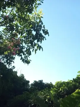 Cam4 Adult Webcams of chupala_puto