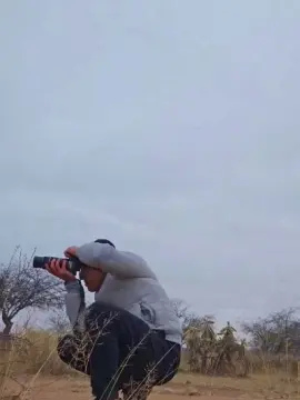 Cam4 Live Porn of nano362