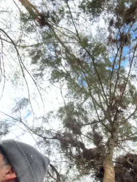 Cam4 Nude Webcam of Lu_01