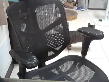 Cam4 Watch Live Sex Cams of lQAQl