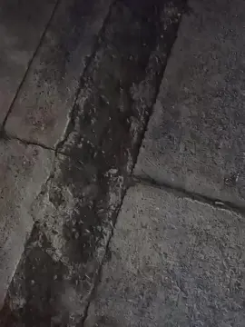 Cam4 Best Webcam of hardsexlove08