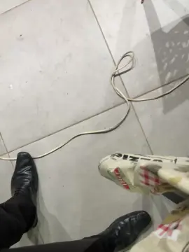 Cam4 Live Sex of GoianoHet