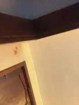 Cam4 Adult Webcam of joao_xc