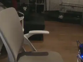 Cam4 Live Sex of basicboicoll