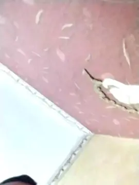 Cam4 Adult Webcam of vinci862