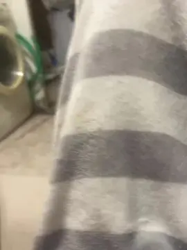 Cam4 Adult Webcams of xoxitocalentito