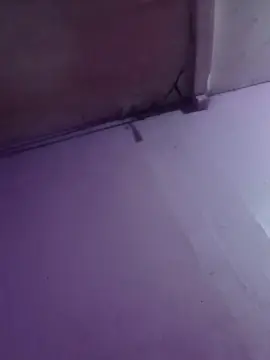 Cam4 Adult Video Chat of camilamaria4