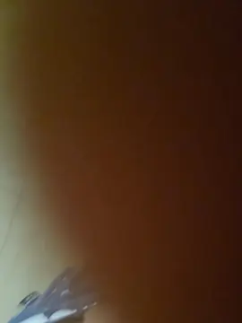 Cam4 Live Sex of BigDick0203