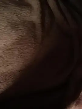 Ptitzizi70 from cam4