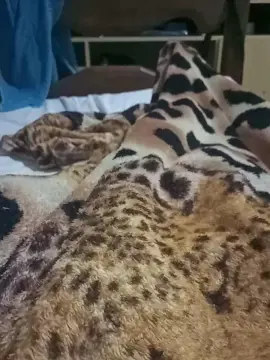 Cam4 Best live sex cam show of dotadobh3