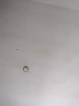 Cam4 Nude Webcam of Andetsongg