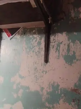 Cam4 Watch Live Sex Cams of WildLady