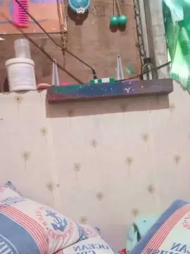 Cam4 Free Porn Cam of WildLady