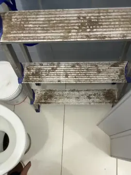 Cam4 Free Porn Cam of pietrotp