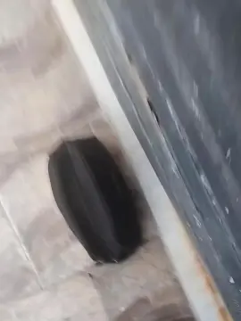 Cam4 Sex Chat of Leozinho188