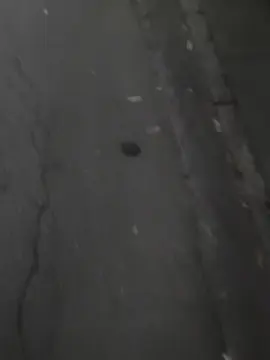 Cam4 Free Porn Cam of BielStan