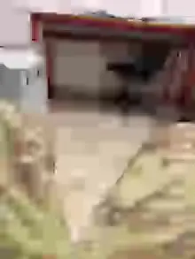 Cam4 Live Porn of Hamlet78