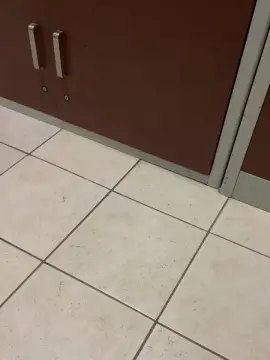 Cam4 Adult Webcams of Hamlet78