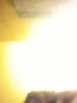 Cam4 Live Sex of Wessowes