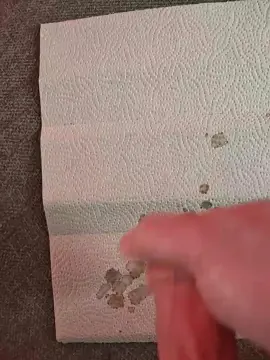 Cam4 Nude Webcam of funnyrisk