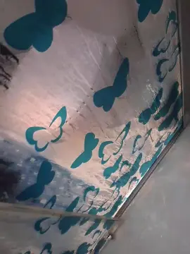 Cam4 Best Webcam of Piolo11