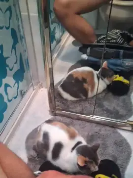 Cam4 Live Sex Cam of Piolo11