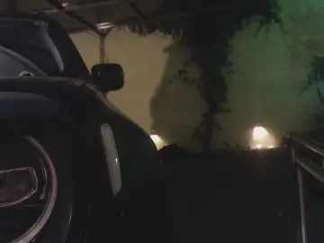 Cam4 Live Sex of rabudoputomacho