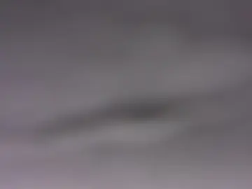 Cam4 Live Sex Cam of singolare1