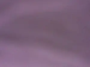 Cam4 Free Live Porn of singolare1