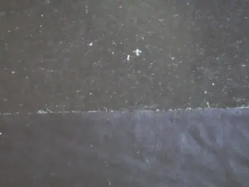 Cam4 Live Porn of SlimThung