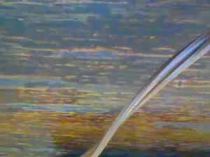 Cam4 Watch Live Sex Cams of allnighter4ever